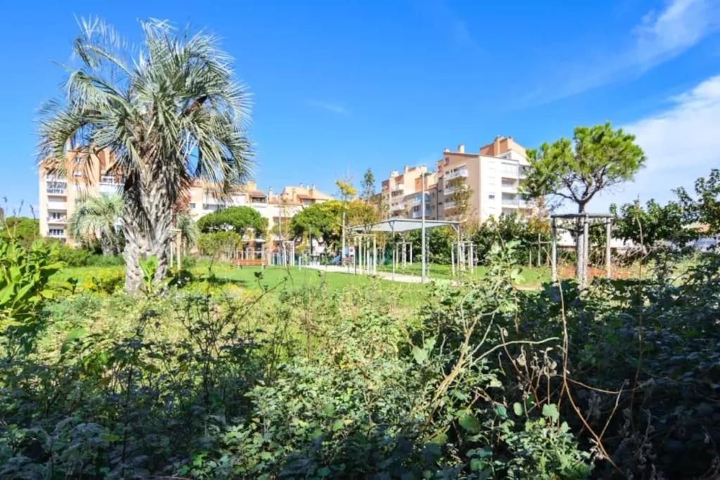 Appartement Port Confort Terrasse/parking Prive Hyères